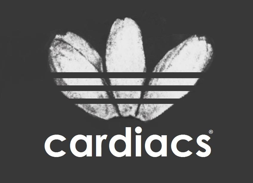 cardiacs adidas logo