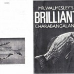 Mr Walmesley's Brilliant Charabangalang